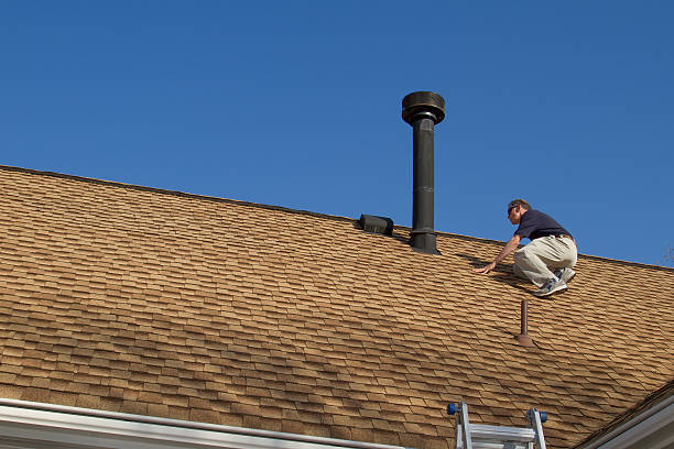 Best Roof Coating and Sealing  in Laurium, MI
